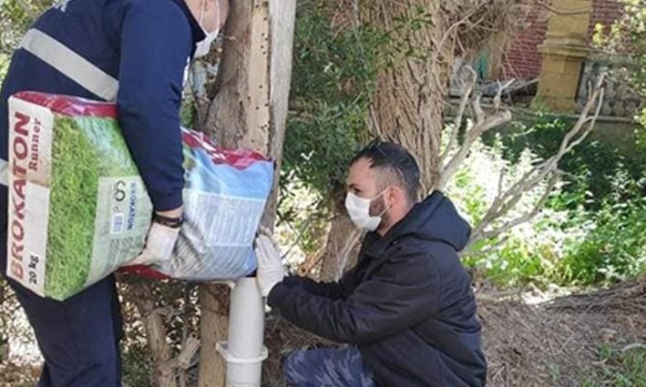 Lefke Belediyesi sokak hayvanları için mama kapları yerleştirdi