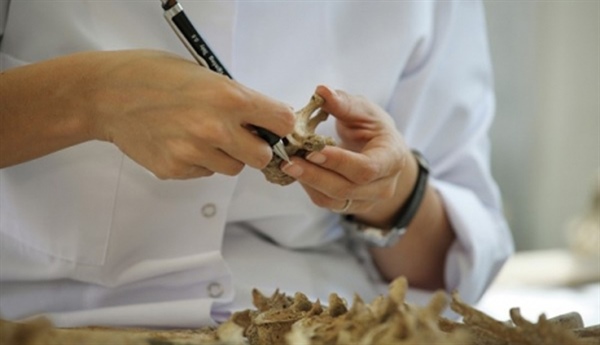 KŞK kazı ve laboratuvar çalışmalarına ara verdi