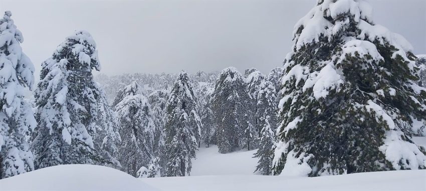 Trodos'a kar yağdı
