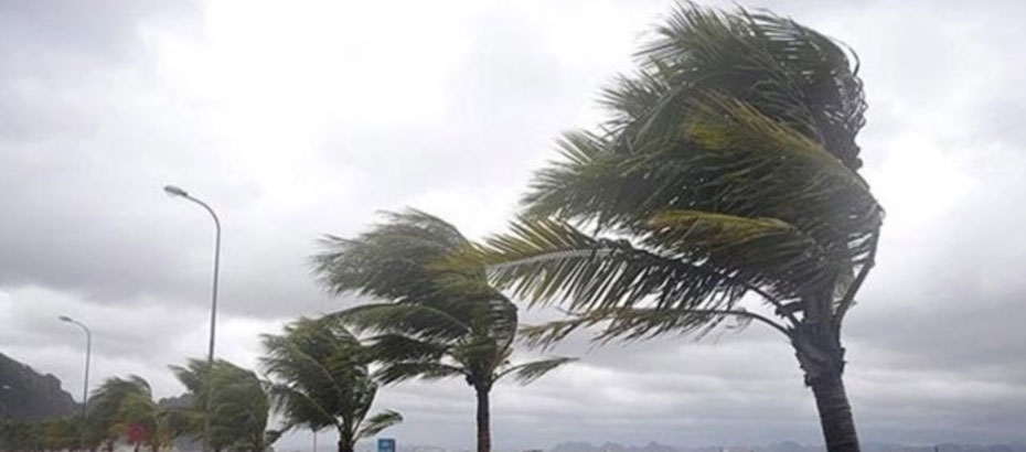 Ülkemizde fırtına ve yağış etkili oldu