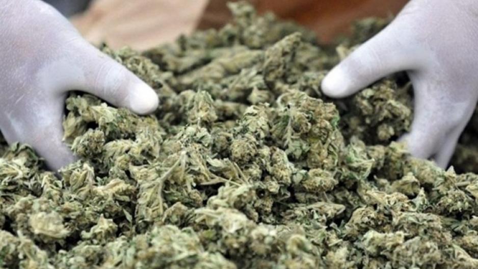 Rum polisi, bir kilo 200 gram Hint Keneviri ele geçirdi