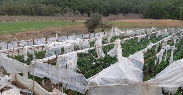 5 üreticiye 107 bin TL fırtına tazminatı