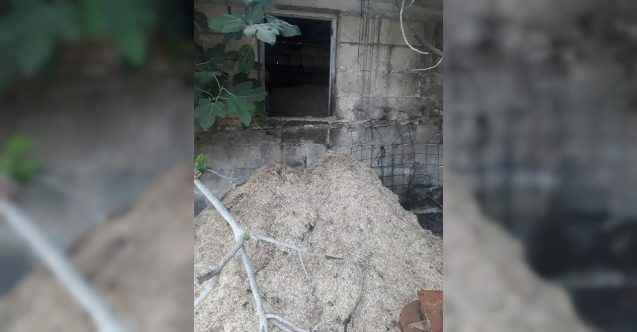 Mandıraya saldırı! Ateşe verdiler, mermi bıraktılar