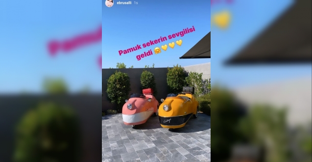 Ebru Şallı'dan romantik paylaşım