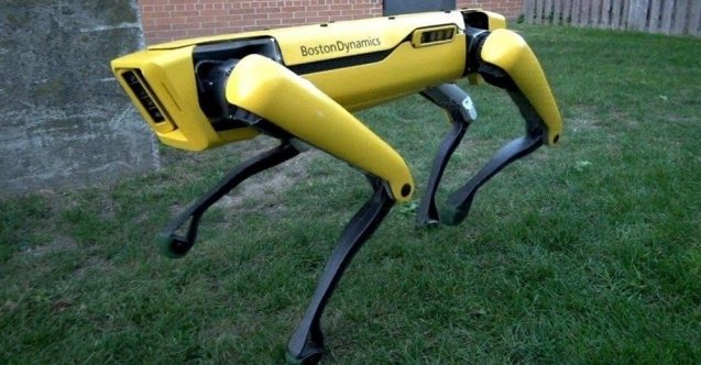 Robot köpek göreve başlıyor
