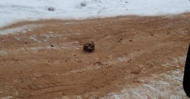 Donmuş otoyolda insan  kalıntıları bulundu