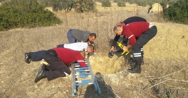 Kuyuya düşen köpeği ölümden kurtardılar