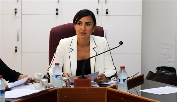 Rogers: Covid 19 sürecinin tüm ekonomik yükünü özel sektör ve çalışanlarına yükleyemeyiz