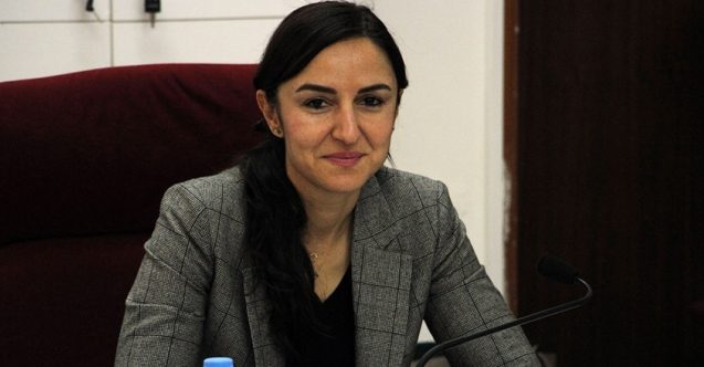 Rogers'dan Amcaoğlu'na eleştiri