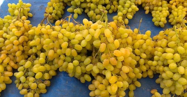 Dört üründe limit üstü kalıntı