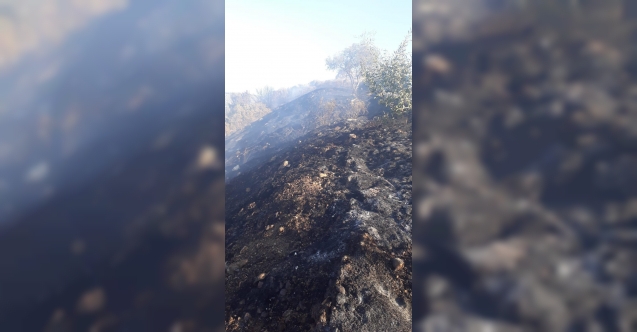 18 dönümlük alan kül oldu