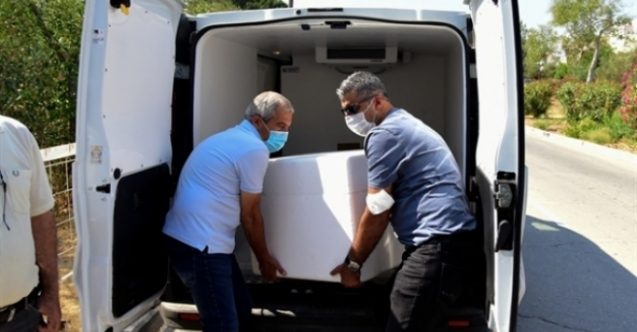 AB'den Kuzey Kıbrıs'a 40 bin doz aşı daha
