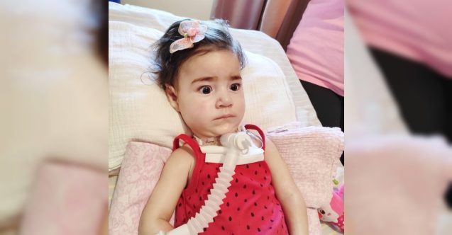 Asya bebek için devlet nerede? Saner: "Vatandaşlarımız yardım edecek"