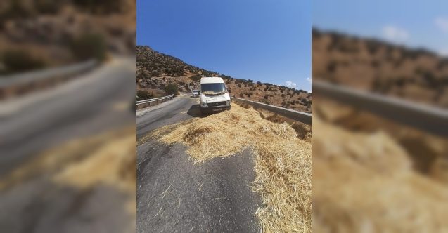 Balyalar yola düştü