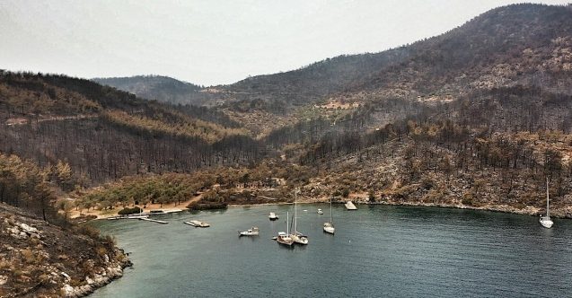 Bodrum simsiyah oldu