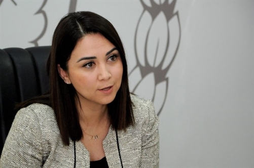 “İş bilmezlikle ülkeye vakit kaybettiriliyor”