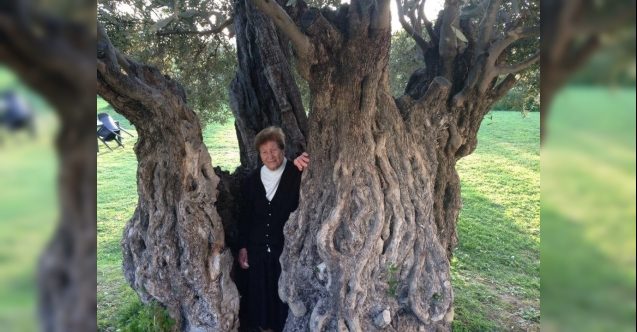 Koronavirüsle mücadele eden anneannesi için endişeli: “Başarıp da yenmeni öyle çok isterim ki”