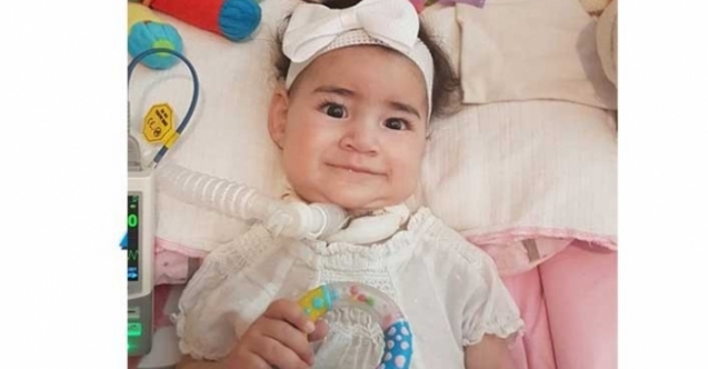 Asya’nın ilacı teslime hazır