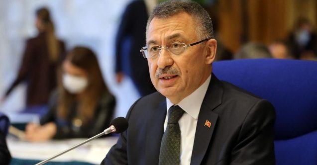 Oktay'dan Karpaz açıklaması: "Şu anda her şey kontrol altında"
