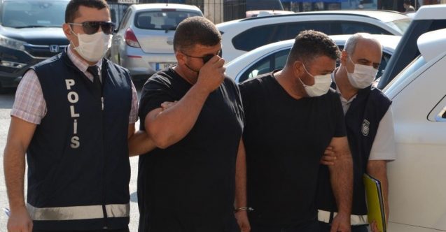 23 koyun nasıl geçirildi?