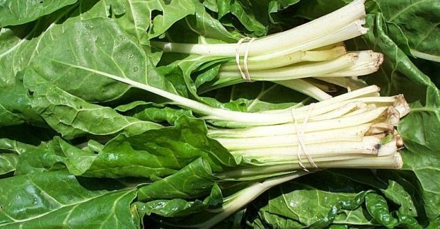 Pazı ve kabakta limit üstü kalıntı