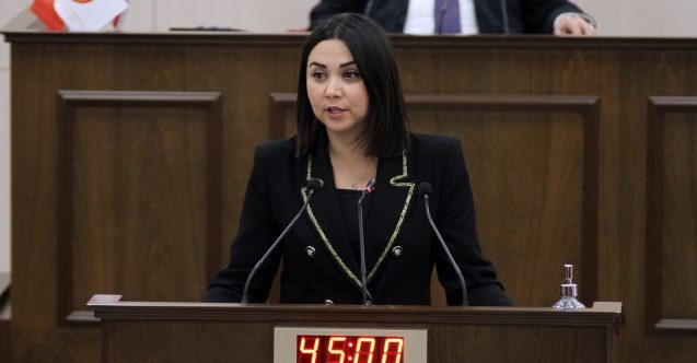 “28 sayfalık hükümet programında hiçbir vizyon yok”