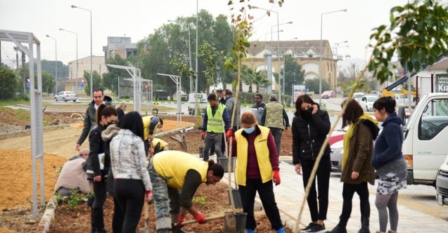 Çöplüğe dönmüştü, şimdi yeşil alan oluyor