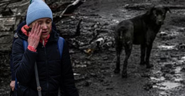 Kabus gibi: “Köpekler cesetleri parçalara ayırıyor”