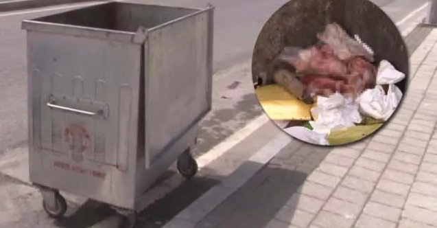 Kan donduran olay! Çöpten bebek cesedi çıktı
