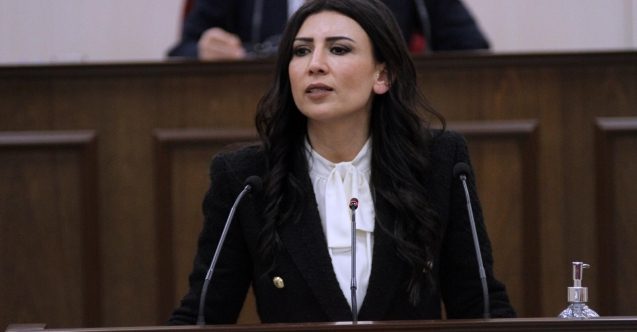 Meclis Başkan Yardımcılığı'na Özdenefe seçildi