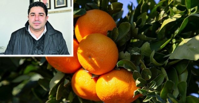 Narenciye üreticileri de eyleme gidiyor