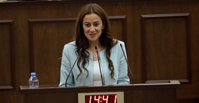 “Seçim kabinine telefonla girmeye zorladılar”
