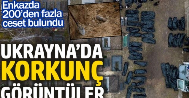Bodrum’dan 200 ceset çıktı
