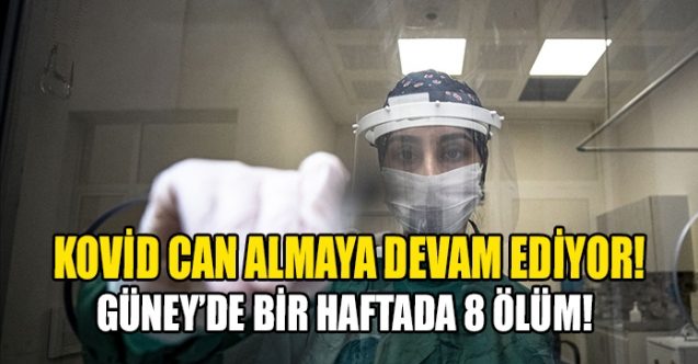 Güney'de 8 ölüm daha