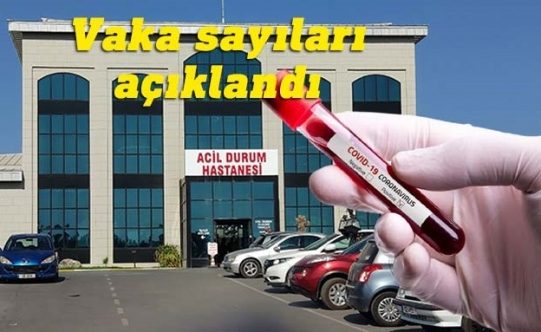İki haftalık Covid-19 rakamları açıklandı