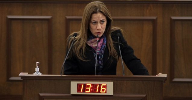 Doğuş Derya, Avrupa Parlamentosu'nda konuşma yapacak