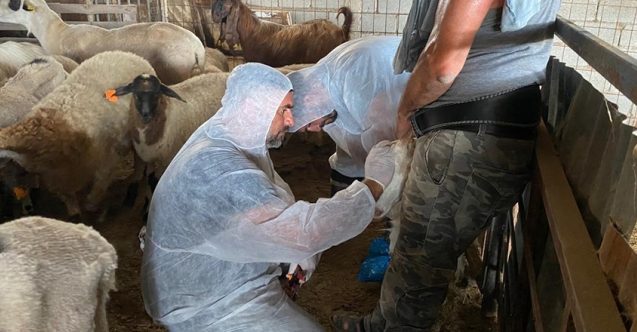Hamitköy’de karantina ve aşılama kararı