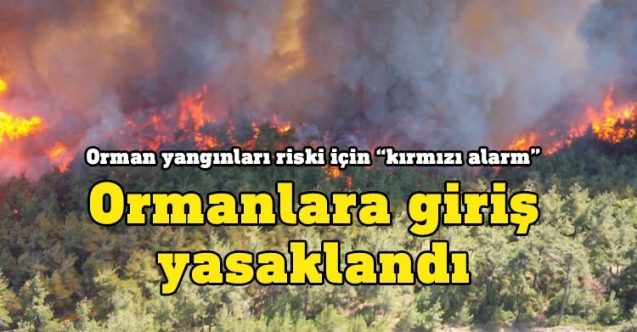 Orman Dairesi'nden kırmızı alarm