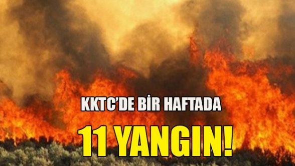 11 yangında 636 bin TL zarar