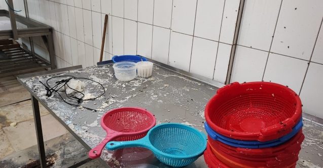 Hijyenik olmayan iki hellim şirketi kapatıldı