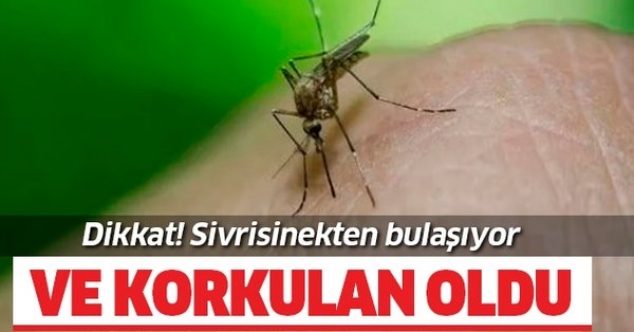 Lefkoşa’da bir kişide Batı Nil virüsü çıktı