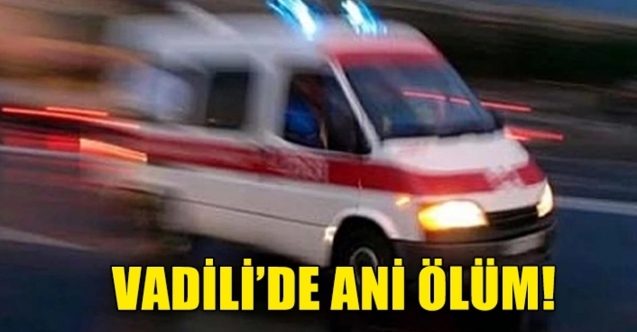 Tarlada çalışırken öldü