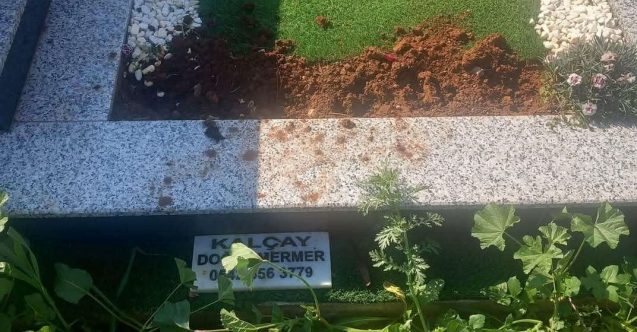 İnsanlık öldü!