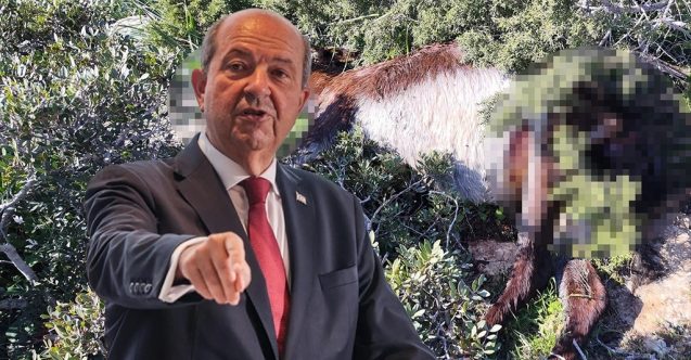 “Olayın akıbetinin yakinen takipçisi olacağım”