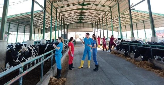 Veteriner hekimliği dünyası KKTC’de buluşacak