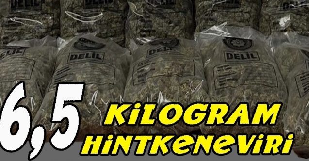 Zehir tacirlerine "Kasırga Operasyonu"
