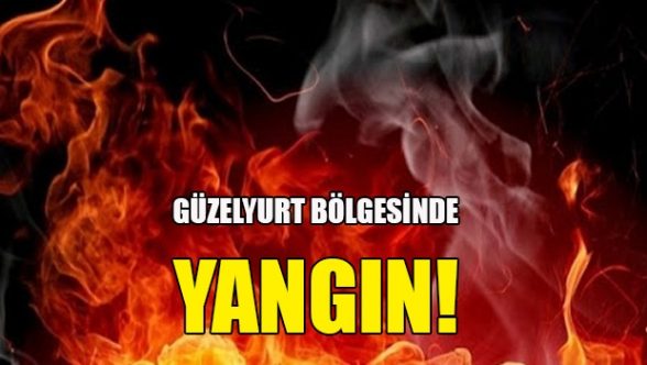 Çöpleri yakmak isterken yangına neden oldu
