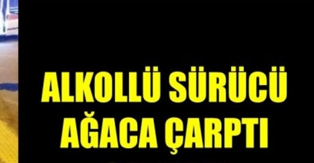 Alkollü sürücü ağaca çarptı
