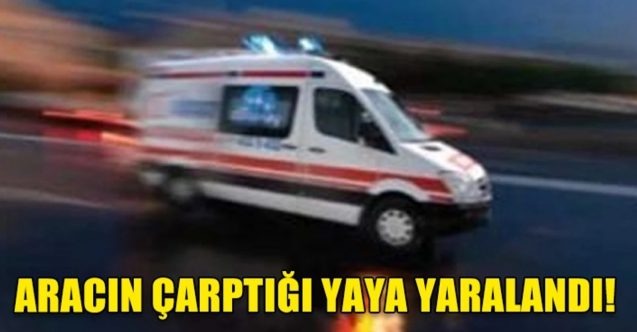 Aracın çarptığı yaya yaralandı