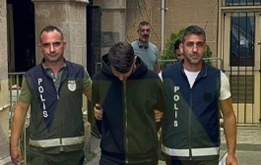 Tetikçi, 6 gün sonra teslim oldu